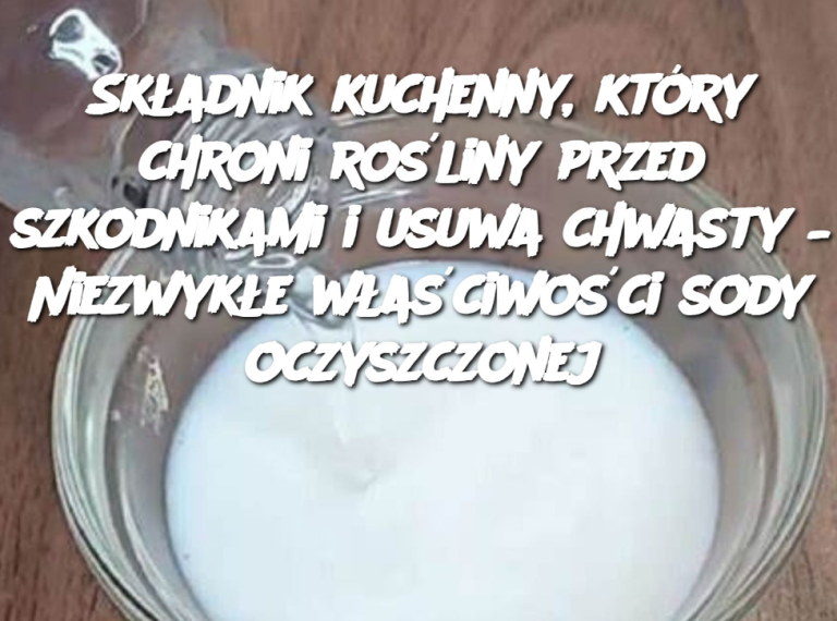 Składnik kuchenny, który chroni rośliny przed szkodnikami i usuwa chwasty – Niezwykłe właściwości sody oczyszczonej