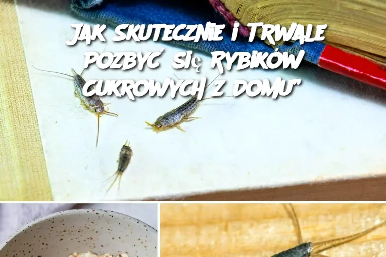 Jak Skutecznie i Trwale Pozbyć się Rybików Cukrowych z Domu”