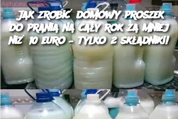 Jak zrobić domowy proszek do prania na cały rok za mniej niż 10 euro – tylko 2 składniki!