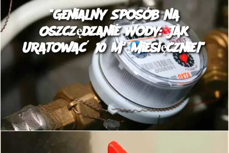 Genialny Sposób na Oszczędzanie Wody: Jak Uratować 10 m³ Miesięcznie!