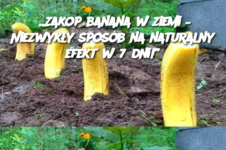 „Zakop banana w ziemi – Niezwykły sposób na naturalny efekt w 7 dni!”