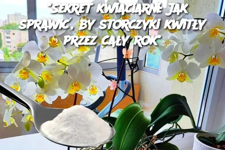 "Sekret kwiaciarni: Jak sprawić, by storczyki kwitły przez cały rok"