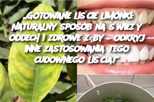 „Gotowane liście limonki: Naturalny sposób na świeży oddech i zdrowe zęby – Odkryj inne zastosowania tego cudownego liścia!”