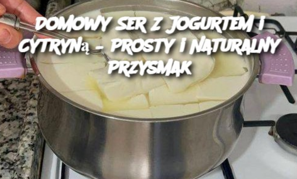 Domowy Ser Z Jogurtem i Cytryną – Prosty i Naturalny Przysmak