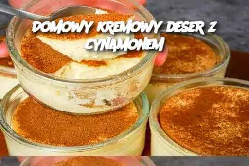 Domowy kremowy deser z cynamonem