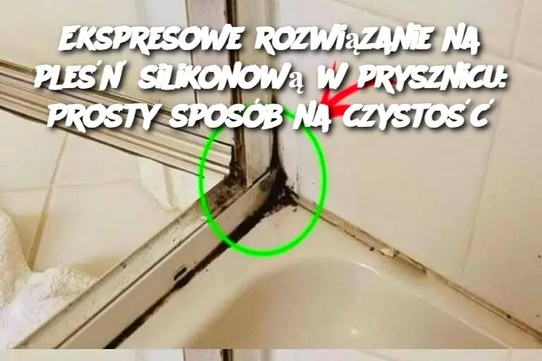 Ekspresowe rozwiązanie na pleśń silikonową w prysznicu: Prosty sposób na czystość