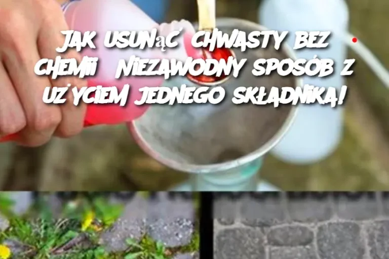 Jak usunąć chwasty bez chemii? Niezawodny sposób z użyciem jednego składnika!