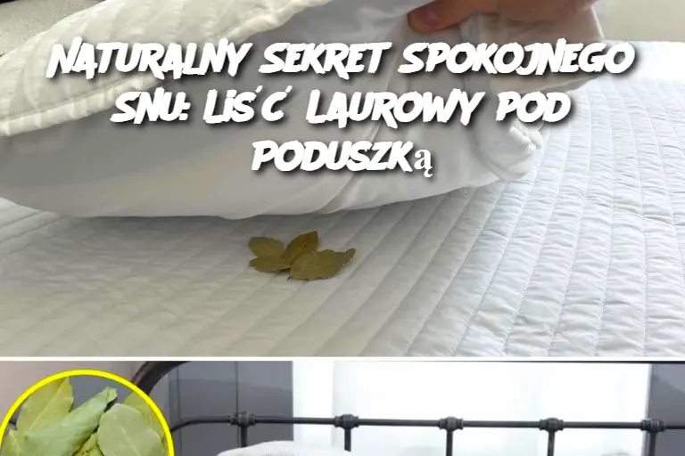 Naturalny Sekret Spokojnego Snu: Liść Laurowy pod Poduszką