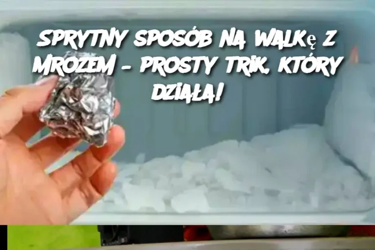 Sprytny sposób na walkę z mrozem – prosty trik, który działa!