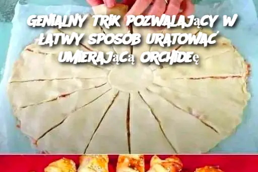 Genialny trik pozwalający w łatwy sposób uratować umierającą orchideę