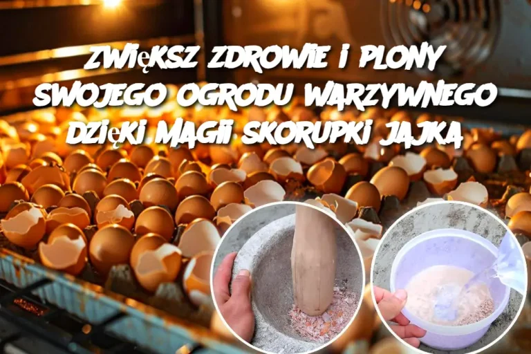 Zwiększ zdrowie i plony swojego ogrodu warzywnego dzięki magii skorupki jajka