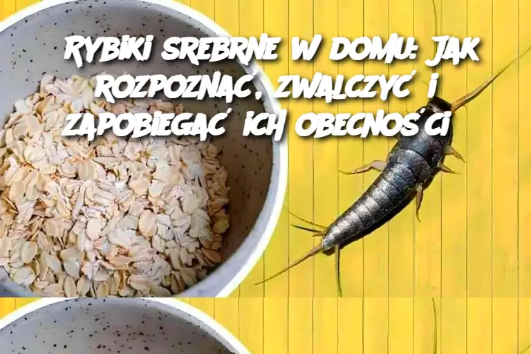 Rybiki srebrne w domu: Jak rozpoznać, zwalczyć i zapobiegać ich obecności?