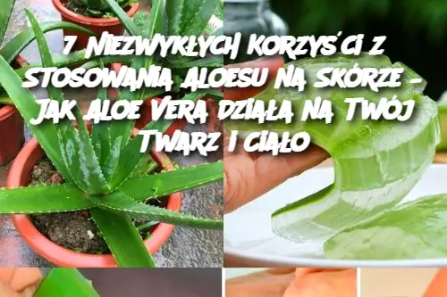 7 Niezwykłych Korzyści z Stosowania Aloesu na Skórze – Jak Aloe Vera Działa na Twój Twarz i Ciało