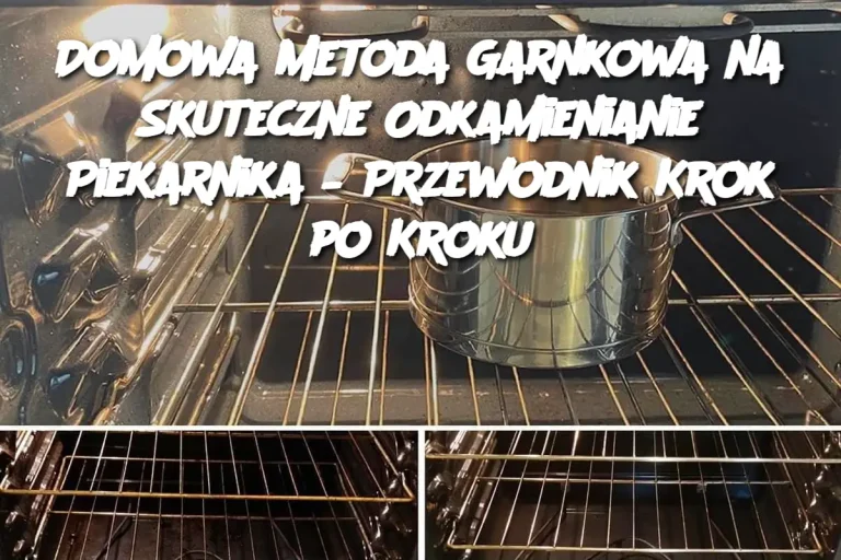 Domowa Metoda Garnkowa na Skuteczne Odkamienianie Piekarnika – Przewodnik Krok po Kroku