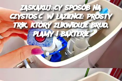 Zaskakujący sposób na czystość w łazience: Prosty trik, który zlikwiduje brud, plamy i bakterie