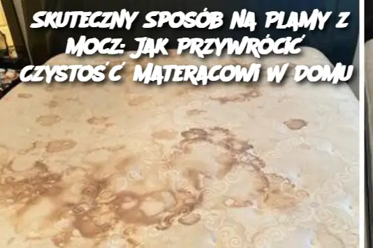 Skuteczny Sposób na Plamy z Mocz: Jak Przywrócić Czystość Materacowi W Domu