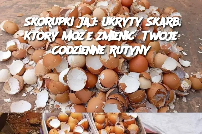 Skorupki Jaj: Ukryty Skarb, Który Może Zmienić Twoje Codzienne Rutyny