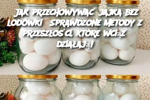 Jak przechowywać jajka bez lodówki? Sprawdzone metody z przeszłości, które wciąż działają!