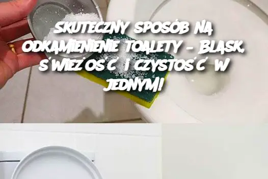 Skuteczny sposób na odkamienienie toalety – Blask, świeżość i czystość w jednym!