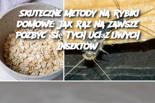 Skuteczne Metody na Rybiki Domowe: Jak Raz na Zawsze Pozbyć się Tych Uciążliwych Insektów