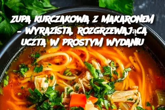 Zupa kurczakowa z makaronem – wyrazista, rozgrzewająca uczta w prostym wydaniu