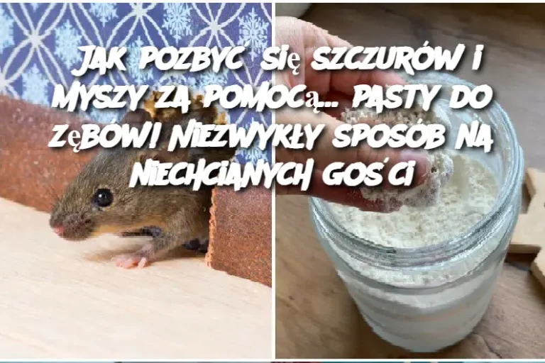 Jak pozbyć się szczurów i myszy za pomocą… pasty do zębów! Niezwykły sposób na niechcianych gości