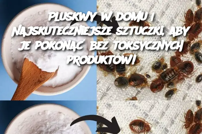 Pluskwy w domu | Najskuteczniejsze sztuczki, aby je pokonać bez toksycznych produktów!