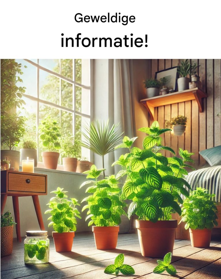 Świetna informacja!