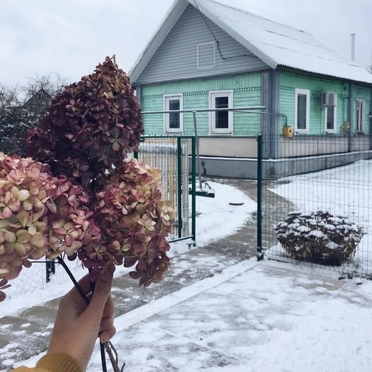 Wiele osób twierdzi, że wygodny i piękny remont w domu wiejskim jest niemożliwy. Pokaż mój dom niewierzącym