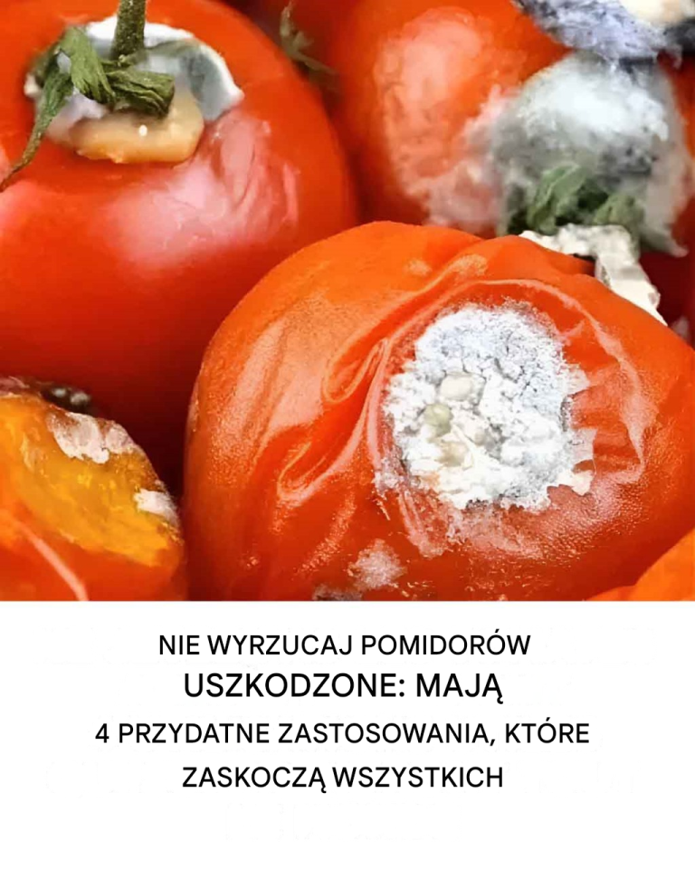 Nie wyrzucaj zepsutych pomidorów: mają 4 przydatne zastosowania