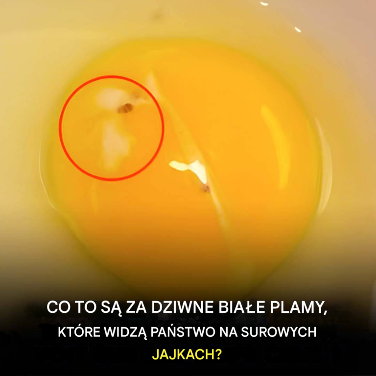 Co to za dziwna biała plamka, którą widzisz na surowych jajkach?