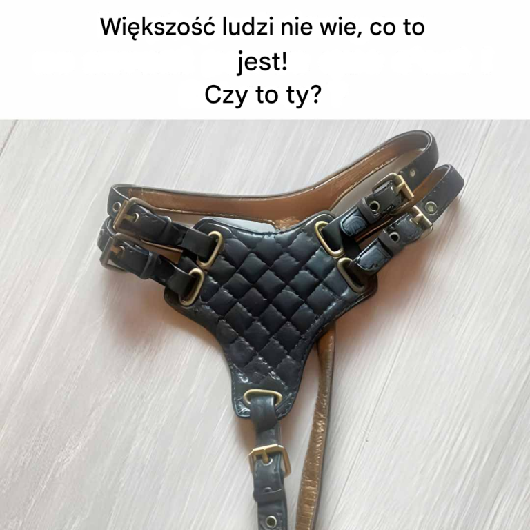 Co to jest? Odpowiedz w komentarzu 👇 ⤵️… Zobacz więcej