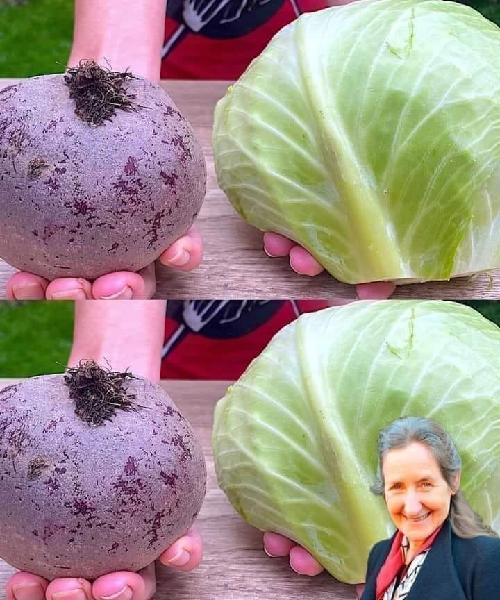 Nie mogę przestać jeść tej sałatki z buraków, marchewki i kapusty 🥕🥬 Nowy przepis na sałatkę 👌