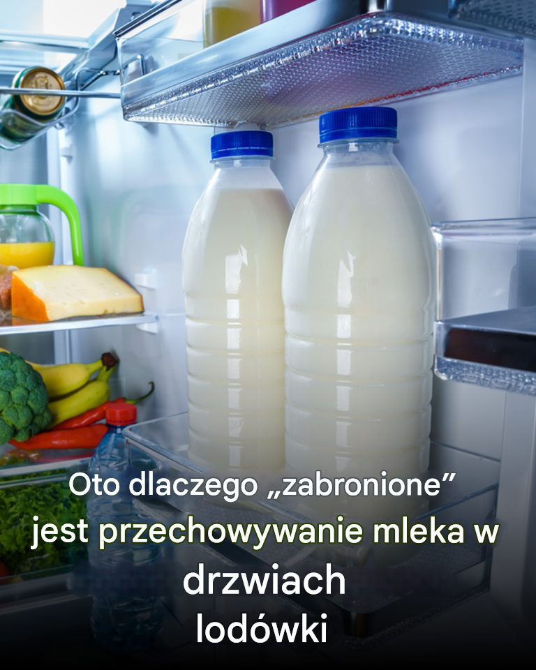 Oto dlaczego nie należy już przechowywać mleka w drzwiach lodówki