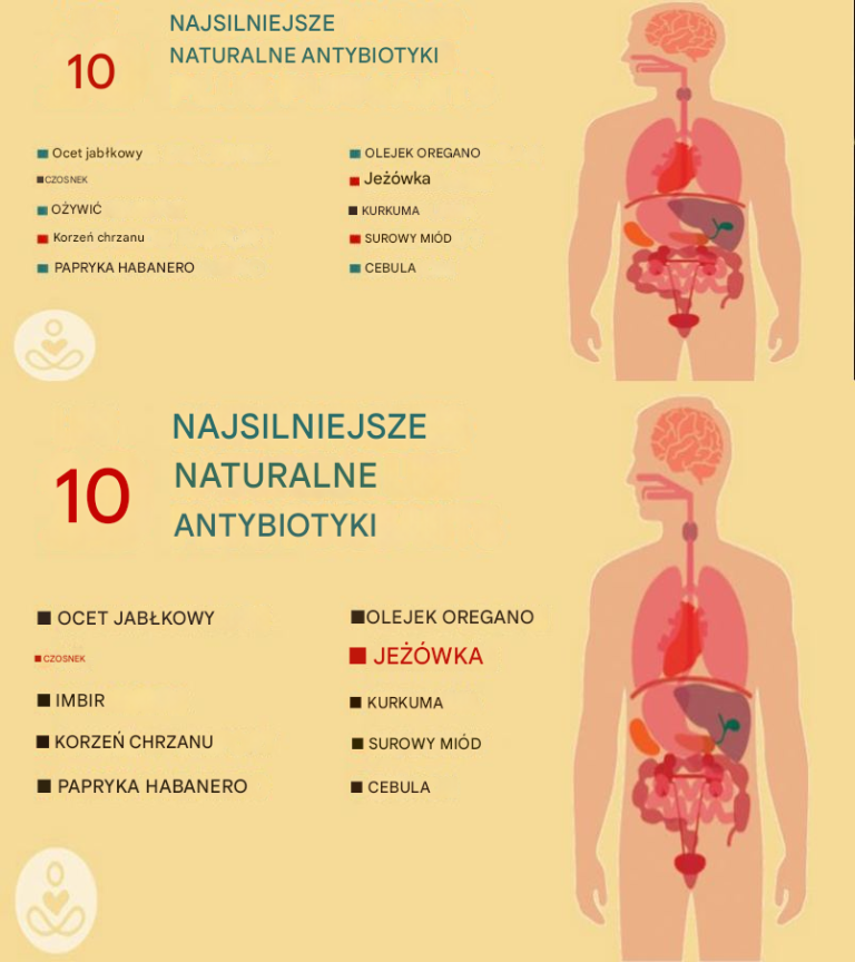 10 najskuteczniejszych naturalnych antybiotyków znanych ludzkości