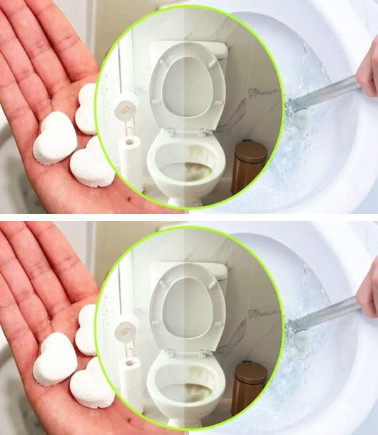 Śmierdząca toaleta. Wystarczą te bomby, żeby ją wyczyścić i odświeżyć | Bardzo proste