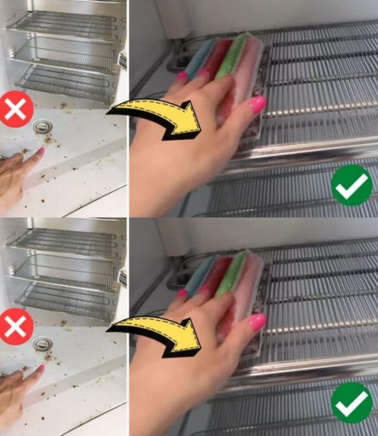 Jak wyczyścić śmierdzącą lodówkę lub zamrażarkę