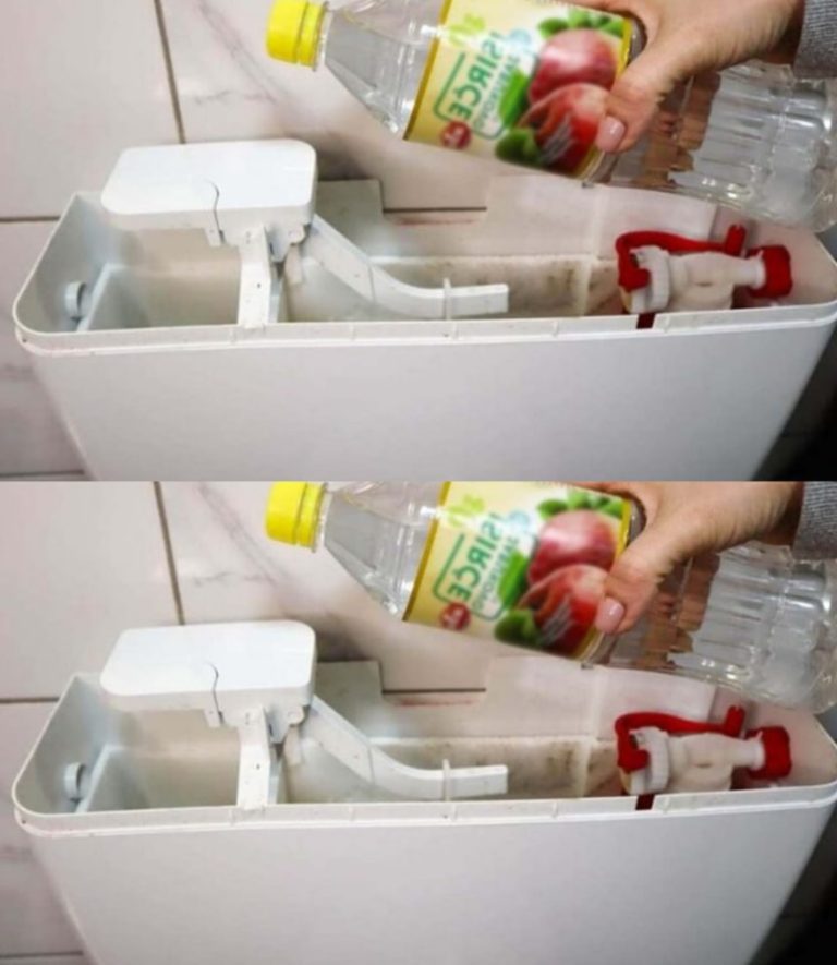 Technika stosowana przez doświadczonych hydraulików do udrażniania spłuczek toaletowych: teraz już wiesz, co robić