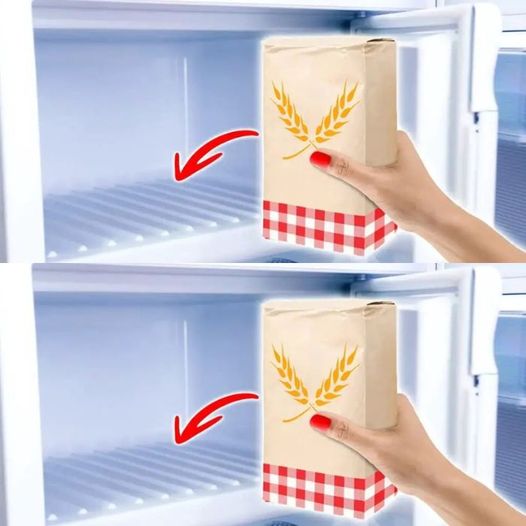 Mąka w zamrażarce, ta prosta czynność uratuje Ci życie w 1 minutę: spróbuj, a zobaczysz
