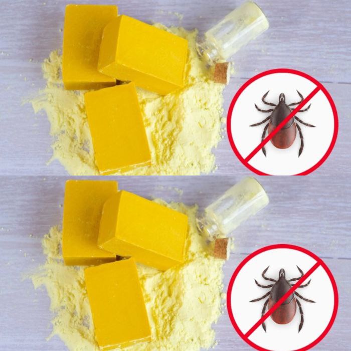 Skrop miotłę kilkoma kroplami soku z cytryny, a pozbędziesz się tego problemu raz na zawsze.