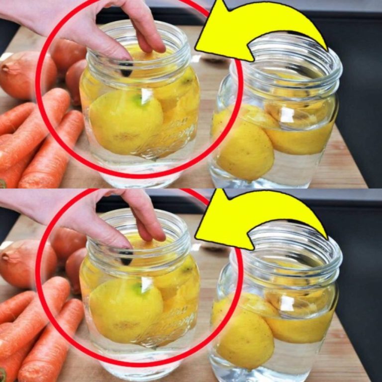 Cytryny dodane do szklanki wody: „są warte swojej wagi w złocie” | Ta wskazówka pozwoli Ci zaoszczędzić sporo pieniędzy!