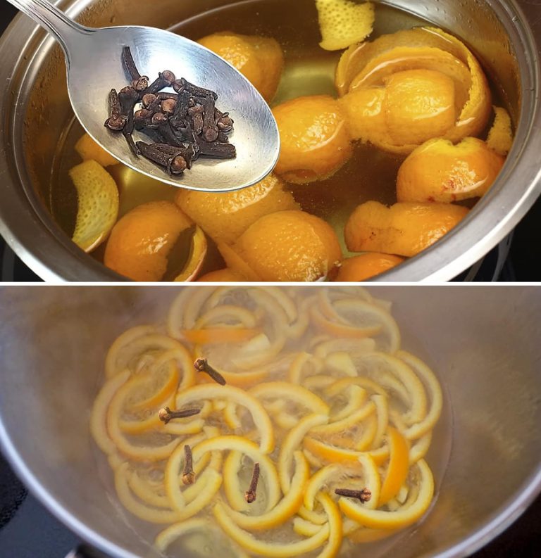 Wytwarzanie soku pomarańczowego i dyniowego: stary zwyczaj naszych zakonnic