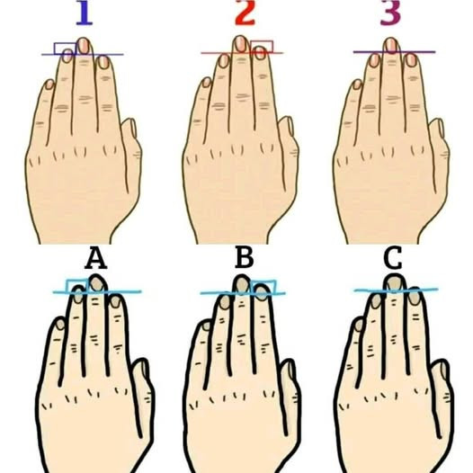 Długość twoich palców wiele mówi o twojej osobowości.