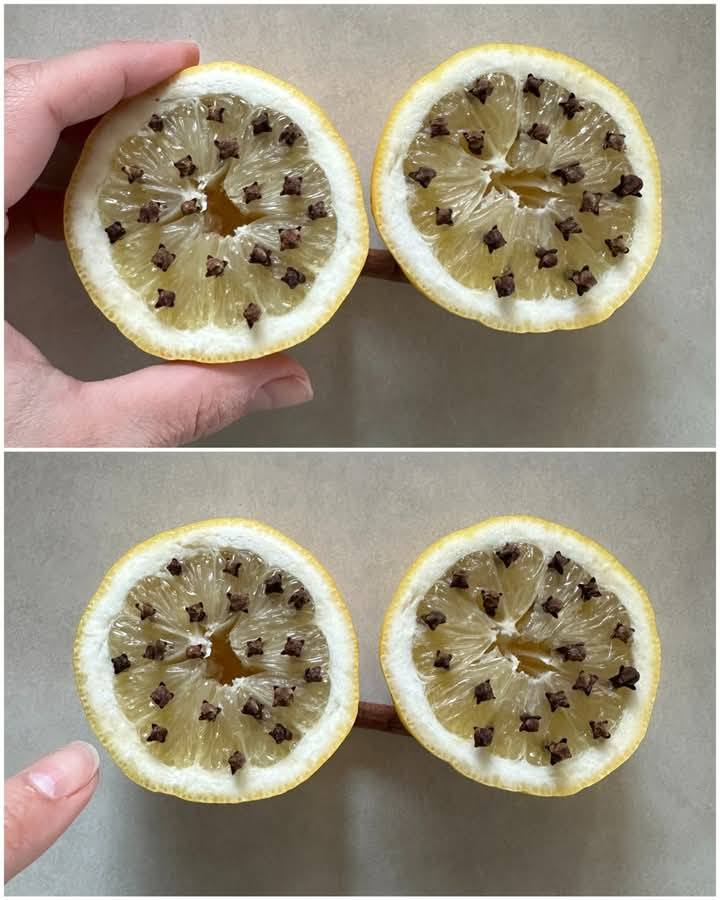 Przekrój cytrynę na pół, dodaj kilka goździków, umieść cytrynę w swoim pokoju i zobacz, co się stanie.