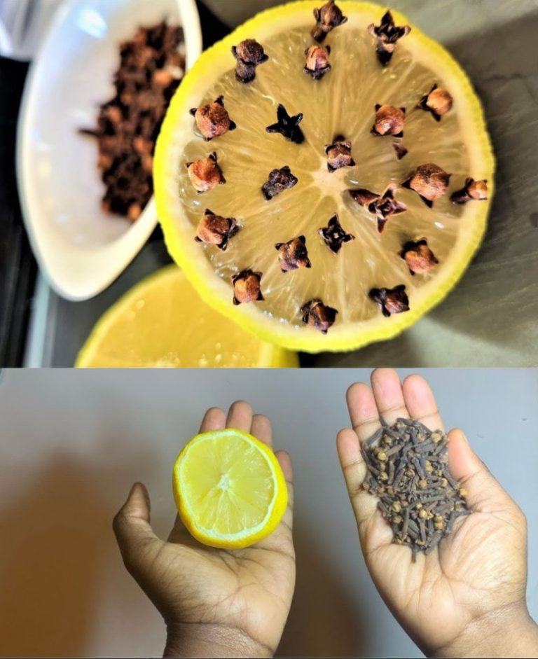 Wymieszaj goździki z cytryną