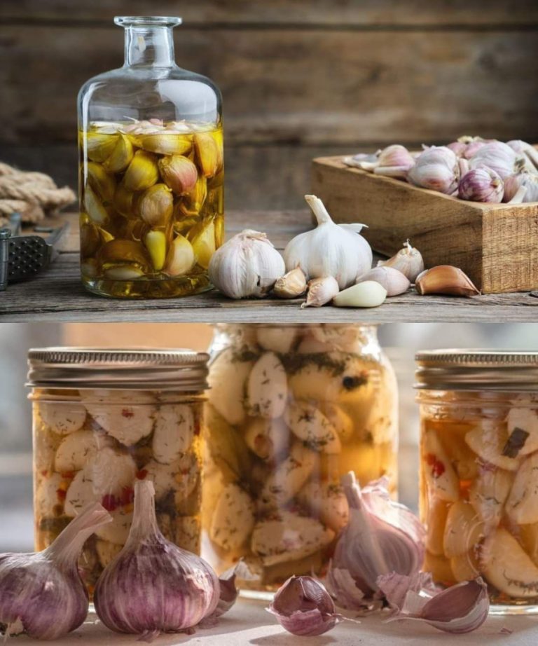 Moja babcia opowiedziała mi o sposobie na konserwowanie czosnku. Będzie świeże przez cały rok i nie będziesz musiał go już kupować.