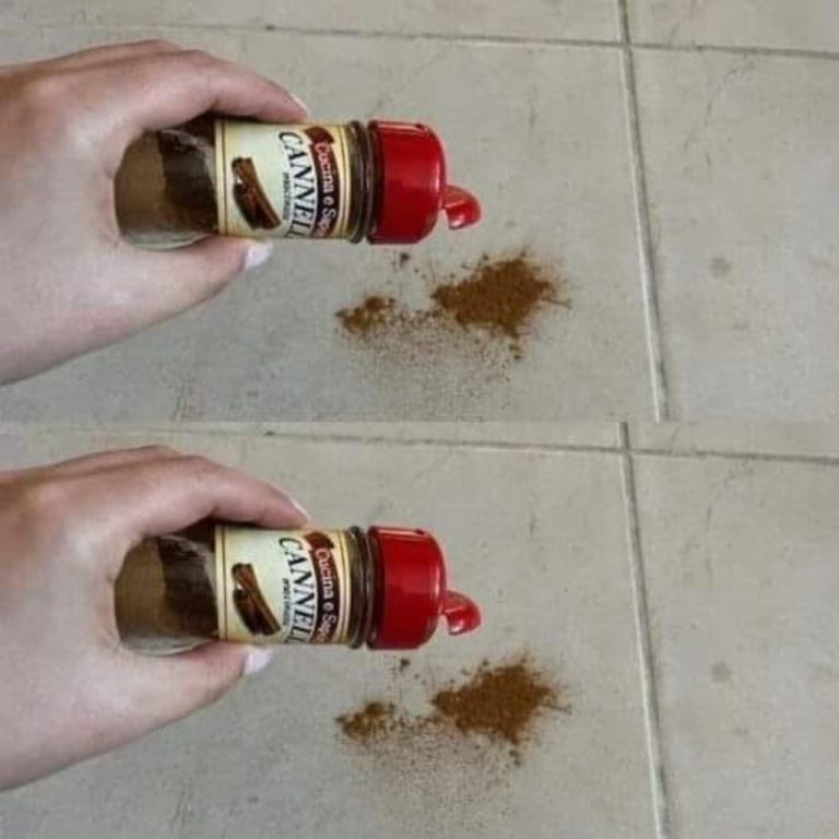 Rzucenie szczypty cynamonu na ziemię: sztuczka, która działa od dziesięcioleci