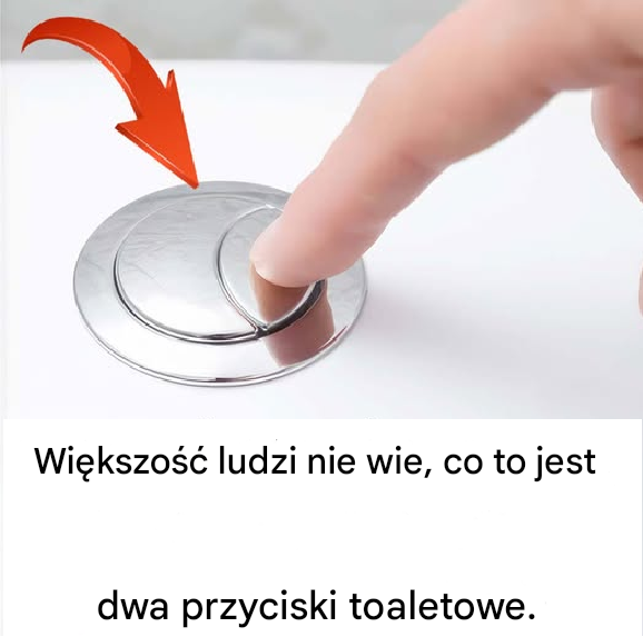 Do czego służą dwa przyciski toaletowe?