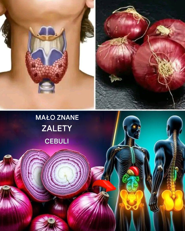 Korzyści zdrowotne cebuli