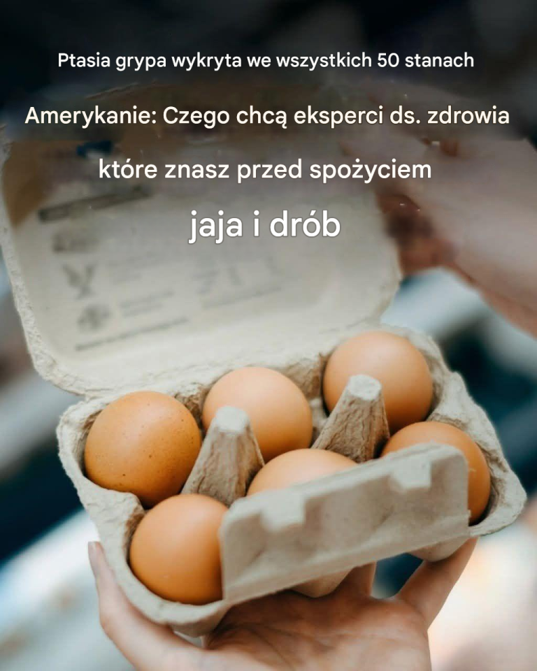 Ptasia grypa wykryta we wszystkich 50 stanach – co eksperci ds. zdrowia chcą, abyś wiedział, zanim zaczniesz jeść jajka i drób